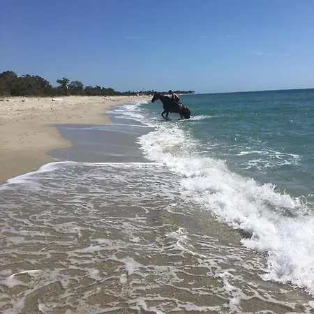 Le Reve De Apartman Ghisonaccia