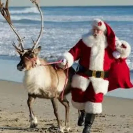 Le Reve De Ghisonaccia