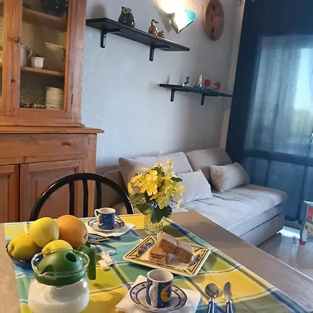 Le Reve De * גהיסונאצ'יה