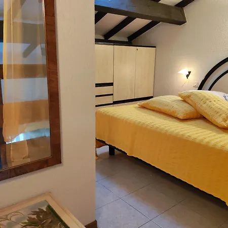 Le Reve De Ghisonaccia