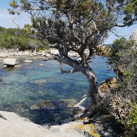 דירה Le Reve De *