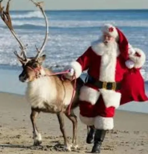 Le Rêve De Ghisonaccia