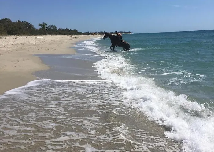 Le Rêve De Appartement Ghisonaccia