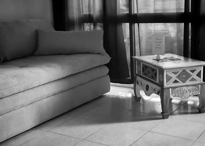 Le Rêve De Ghisonaccia