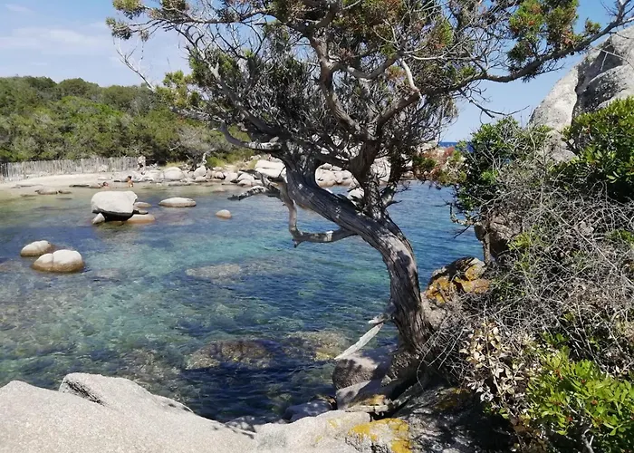 Appartement Le Rêve De *