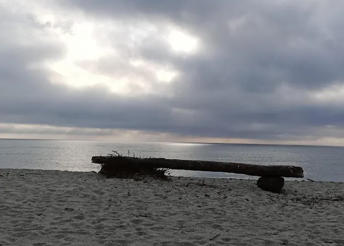 Appartement Le Rêve De Ghisonaccia