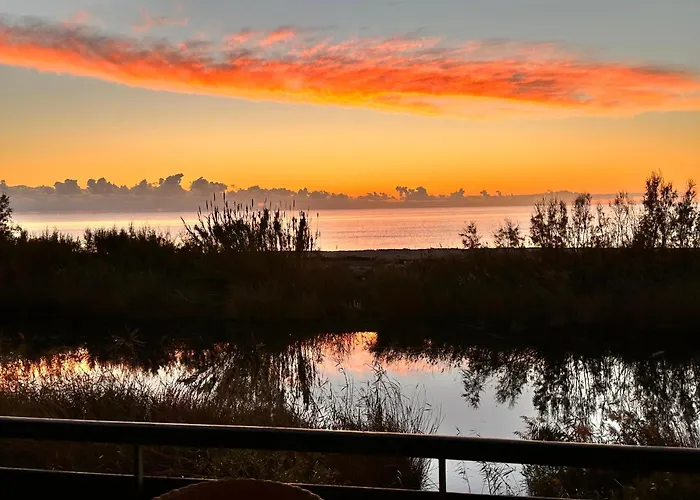 Le Rêve De * Ghisonaccia